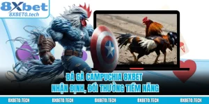 Đá Gà Campuchia 8XBET - Nhận Định, Đổi Thưởng Tiềm Năng
