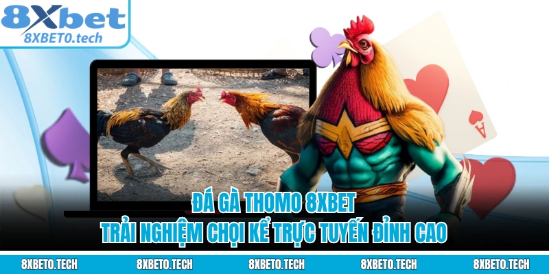 Đá Gà Thomo 8XBET - Trải Nghiệm Chọi Kể Trực Tuyến Đỉnh Cao