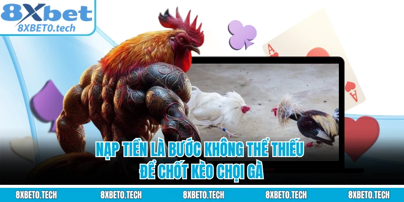 Nạp tiền là bước không thể thiếu để chốt kèo chọi gà